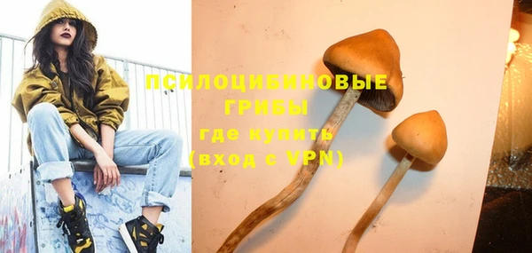 гидропоника Абаза