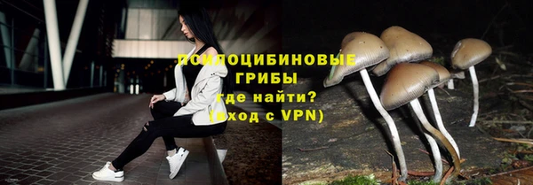 дживик Абинск