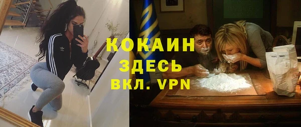 дживик Абинск