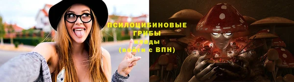 дживик Абинск