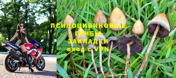гидропоника Абаза