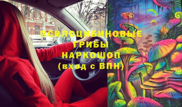 дживик Абинск